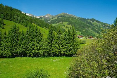 Hotel cultural and sightseeing holiday Rauris