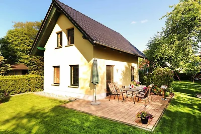Vakantieappartement Gezinsvakantie Trassenheide