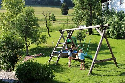 Vakantiehuis Ontspannende vakantie Steinbach am Attersee