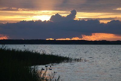 Vakantiehuis Ontspannende vakantie Untergöhren