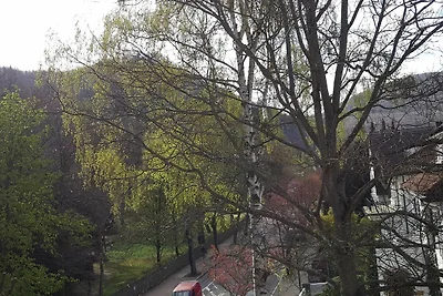 Vakantieappartement Gezinsvakantie Bad Harzburg
