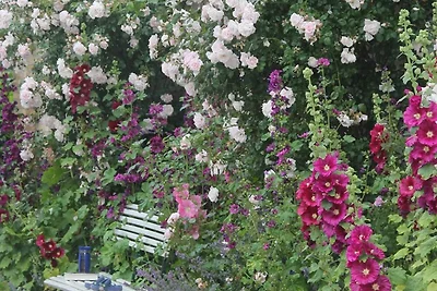 Ferienwohnung Gartenblick