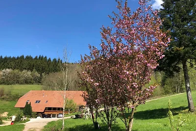 Ferienwohnung 32qm, 1 Wohn-/Schlafraum