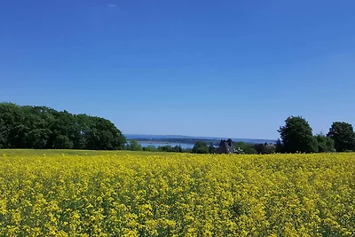Vakantieappartement Gezinsvakantie Blankensee