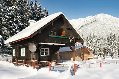 Vakantiehuis Ontspannende vakantie Pertisau