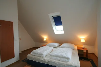 Albergo Cultura ed escursioni Butjadingen