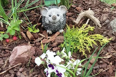 Ferienwohnung in idyllischer Lage in den...