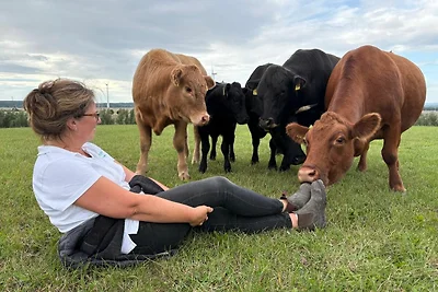 1+2) FeWo 5-Raum (110m², 6 Pers.