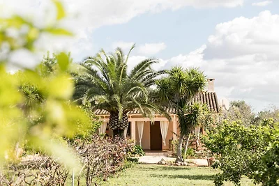 Vakantiehuis Ontspannende vakantie Llucmajor