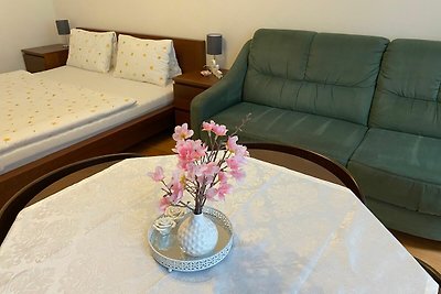 Vakantieappartement Gezinsvakantie Wien