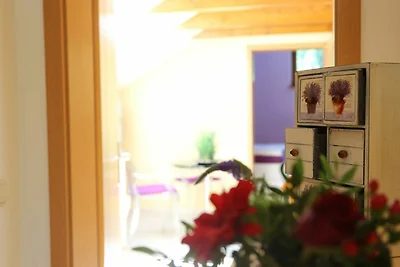 Vakantieappartement Gezinsvakantie Freital