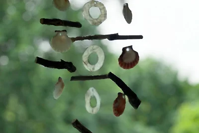 FeWo 58 qm für max. 4 Gäste SZ