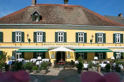 Albergo Cultura ed escursioni Weiz