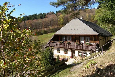 Vakantieappartement Gezinsvakantie Wieden