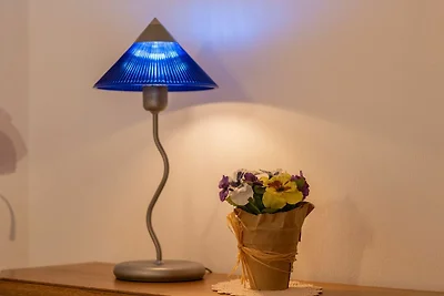 Ferienwohnung Up Steern EG