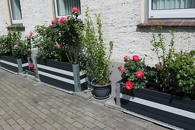 Wohnung Avellis