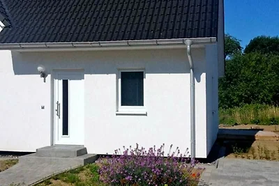 Appartement 1 - mit grosser Terrasse