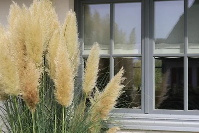 Casa vacanze Vacanza di relax Groß Schwansee