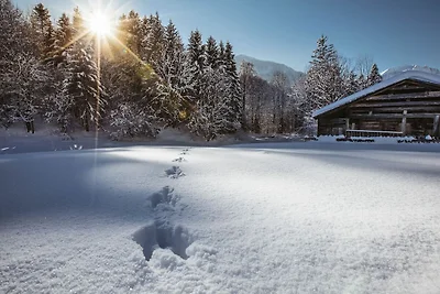 Doppelzimmer Zitterklapfen