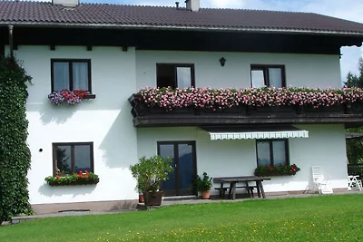 Vakantieappartement Gezinsvakantie Weyregg am Attersee