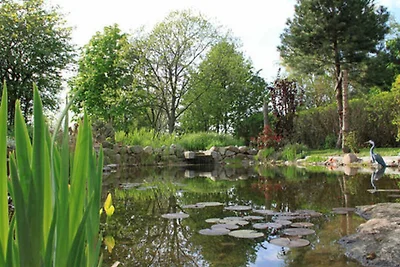 Vakantiehuis Ontspannende vakantie Ahrenshoop