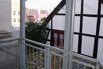 Seestern am Hafen