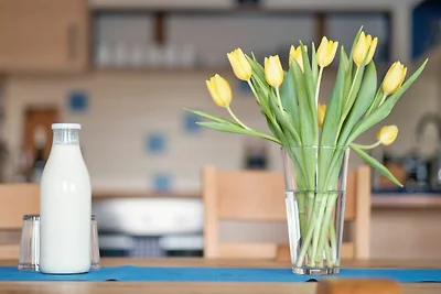 Ferienwohnung blau