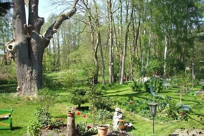 Ferienwohnung 1