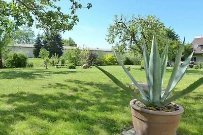 Vakantieappartement Gezinsvakantie Neubrandenburg