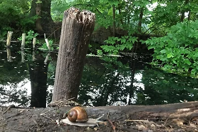 Vakantieappartement Gezinsvakantie Vetschau