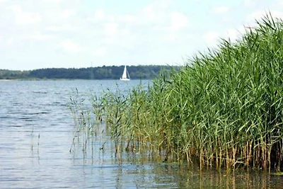 Vakantieappartement Gezinsvakantie Brandshagen
