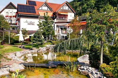 Albergo Cultura ed escursioni Tecklenburg