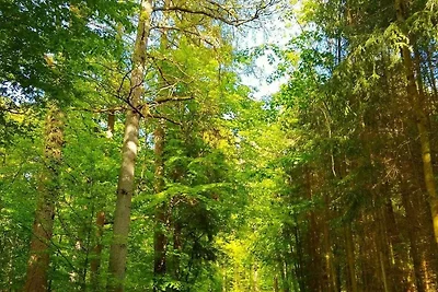 Eversberg 5