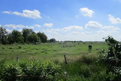 Ferienwohnung Biesterfeld