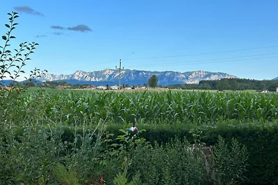 Vakantieappartement Gezinsvakantie St. Georgen im Attergau