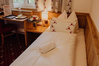 Hotel Cultuur en bezienswaardigheden Eisenberg
