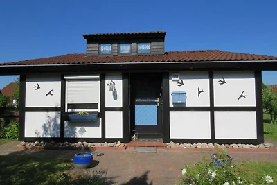 Albergo Cultura ed escursioni Hollern-Twielenfleth