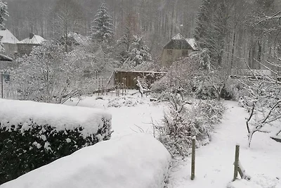 Ferienwohnung Natur pur