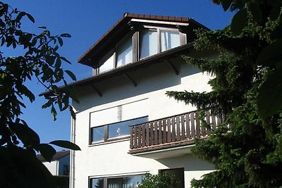 Vakantieappartement Gezinsvakantie Michelstadt