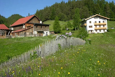 Fewo Bergkastel 4-5