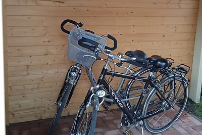 Albergo Cultura ed escursioni Butjadingen