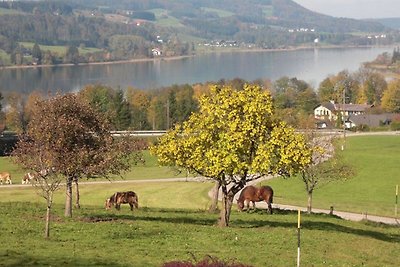 Vakantieappartement Gezinsvakantie Zell am Moos