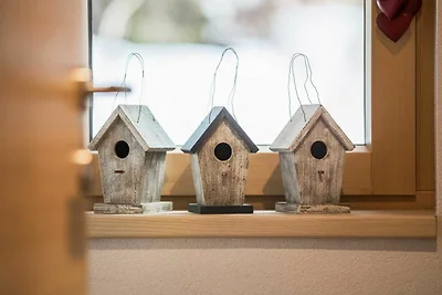 Caroline's Apartment