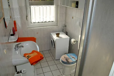 Albergo Cultura ed escursioni Ostseebad Boltenhagen