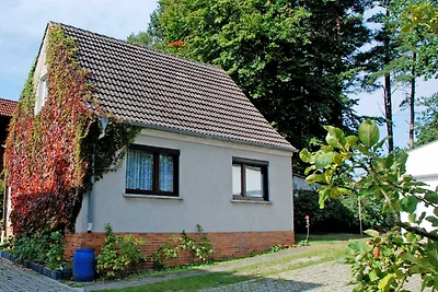 Ferienwohnung mit Terrasse OG