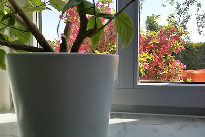 Vakantieappartement Gezinsvakantie Hohenkirchen