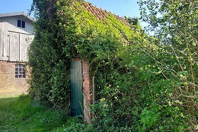 Ferienwohnung Maass
