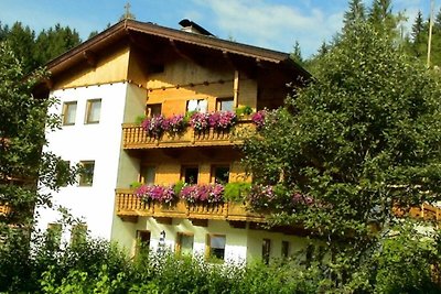 Vakantieappartement Gezinsvakantie Wildschönau