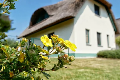 Albergo Cultura ed escursioni Wendisch Rietz