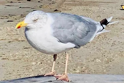 Ferienwohnung Mantik